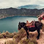 Quilotoa Mules