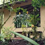 Tandayapa Bird Lodge