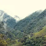 Tandayapa Bird Lodge Cloudforest