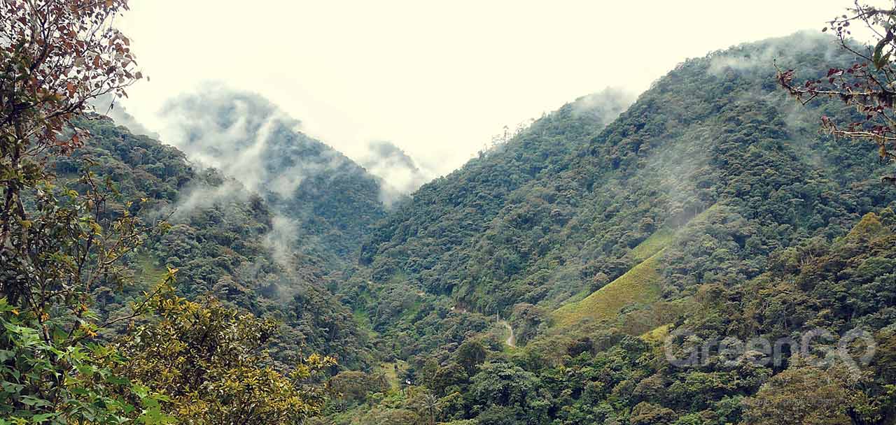 Tandayapa Bird Lodge Cloudforest