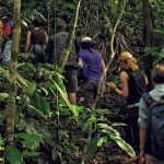 Yarina Lodge Hiking