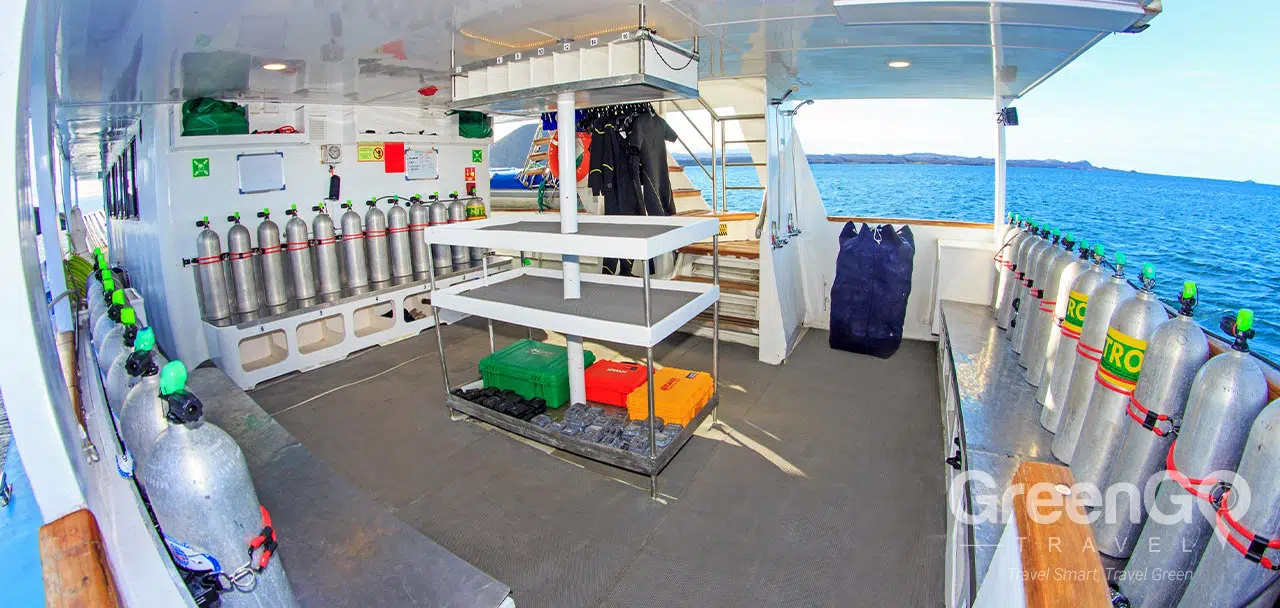 Aqua Galapagos Yacht - Dive Plataform
