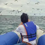 Astrea Galapagos Yacht - Open Sea Landscape