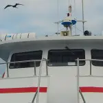 Reina Silvia Galapagos Yacht - Observation Deck