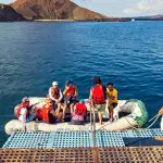 Yolita II Galapagos Yacht - Panga Ride