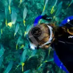 Letty Galapagos Yacht Snorkeling