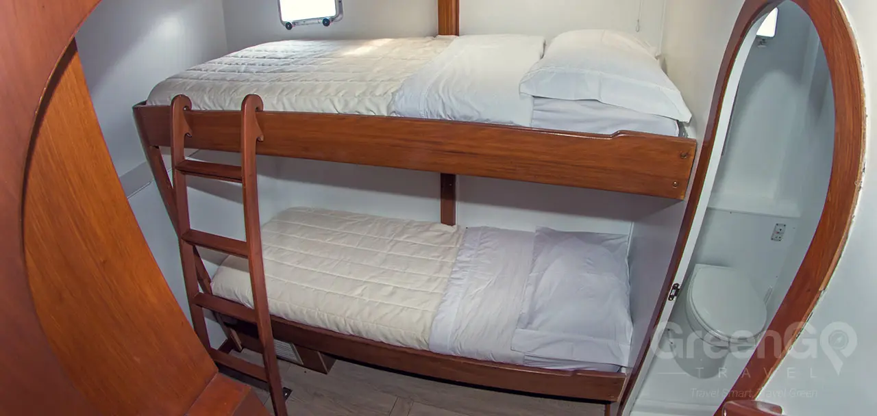 Nemo 2 Galapagos Catamaran - Cabin 6 Lower single bed and upper single bed