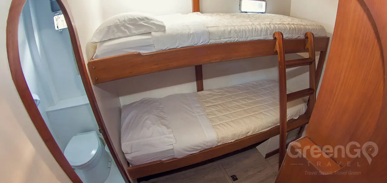 Nemo 2 Galapagos Catamaran - Cabin 7 Lower single bed and upper single bed