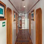 Lonesome George Galapagos Catamaran Interior Hall