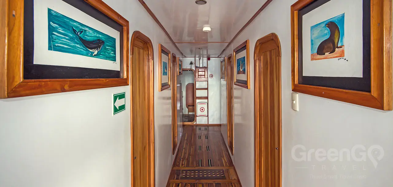 Lonesome George Galapagos Catamaran Interior Hall