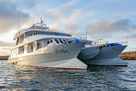 Alya-Galapagos-Catamaran-Thumbnail