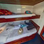 Darwin Galapagos Yacht - Classic Cabin - Upper Deck