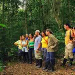 Piranha Amazon Lodge - Flora Briefing