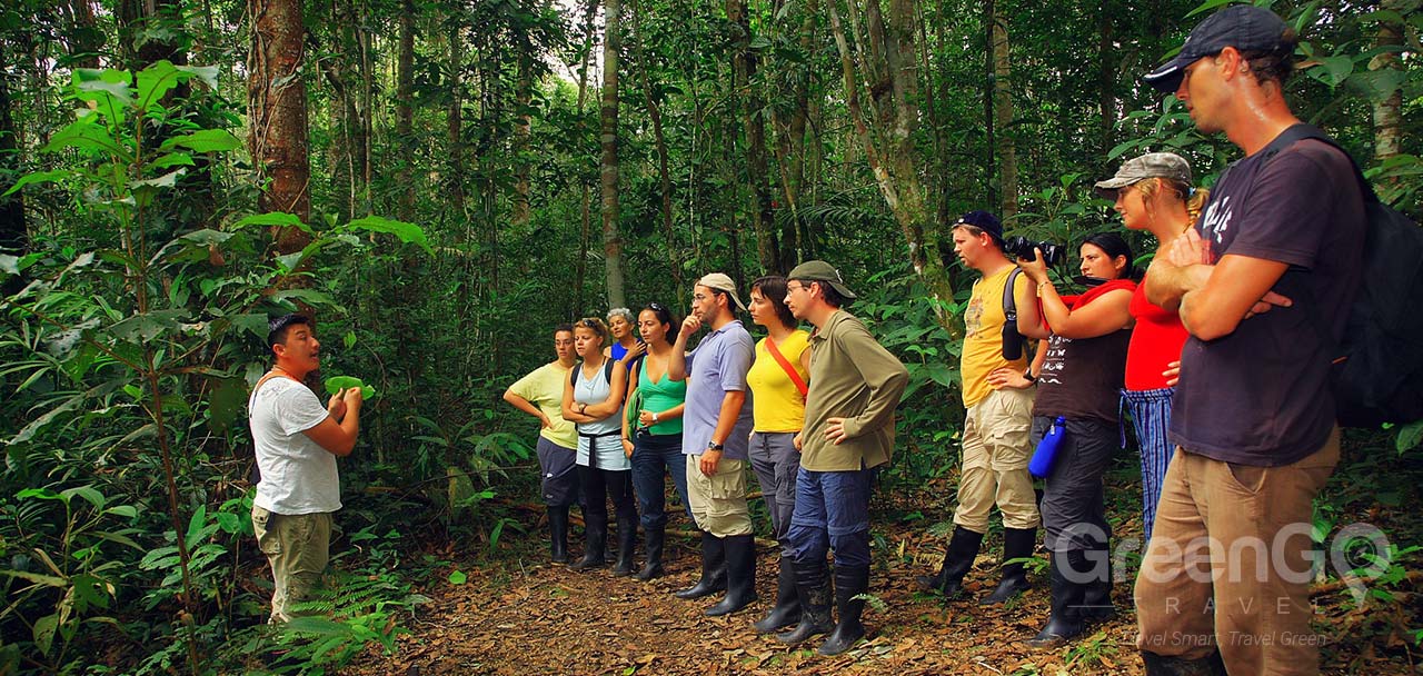 Piranha Amazon Lodge - Flora Briefing