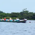 Piranha Amazon Lodge - River Swimming