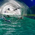 Endemic Galapagos Catamaran - Snorkeling