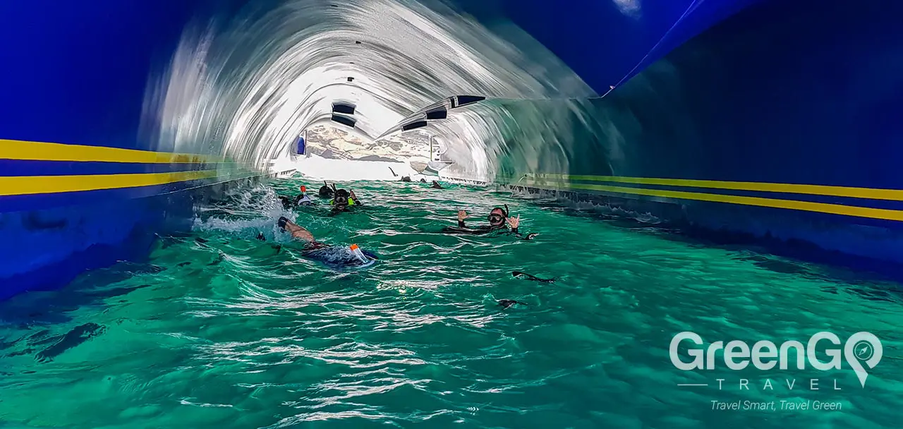 Endemic Galapagos Catamaran - Snorkeling