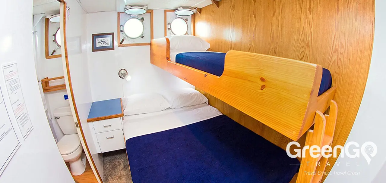 Cachalote Explorer Galapagos Yacht - Cabin 3-4 & 7