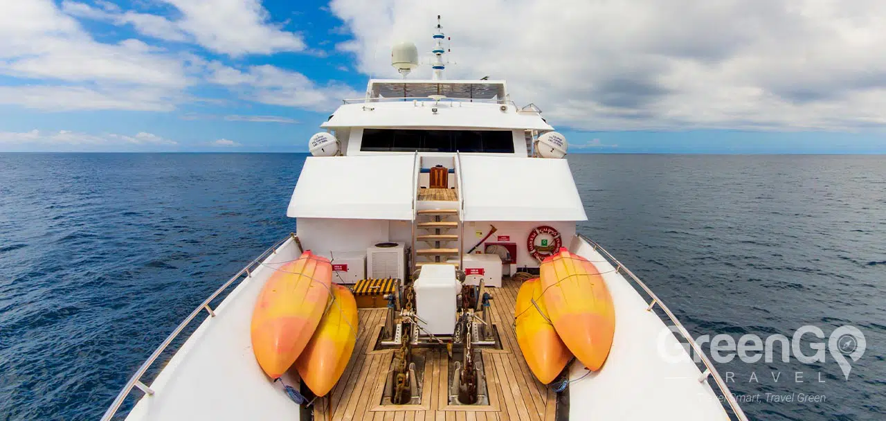 Calipso Galapagos Yacht - Bow