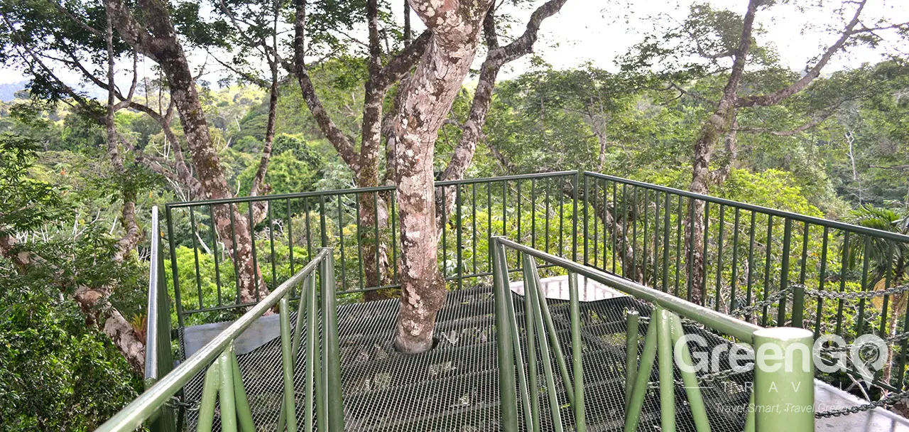 La Selva Eco Lodge - Observation Tower