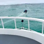 Aida Maria Galapagos Yacht - Bow