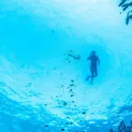 La Pinta Galapagos Ship - Snorkeling