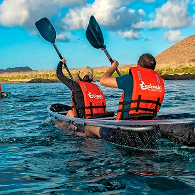 endemic galapagos cruise in 2019-glass-kayaks