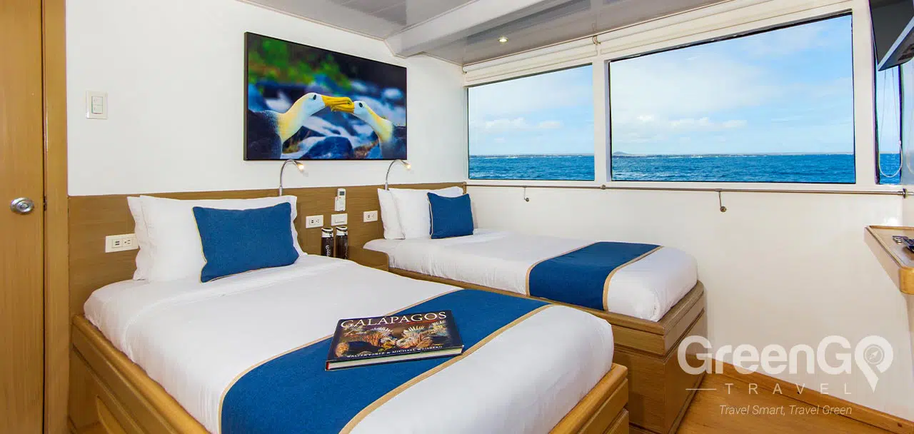 Calipso Galapagos Yacht - Cabin 4