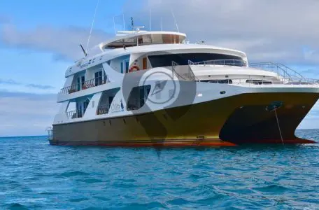 Elite-Galapagos-Catamaran-Elite-Galapagos-Catamaran