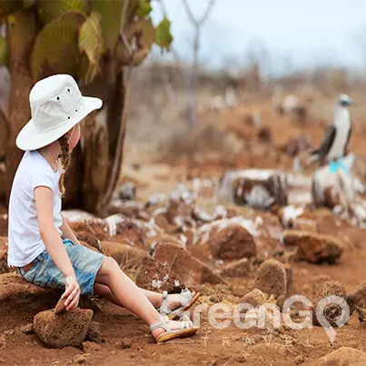 galapagos-cruises-for-families -Little girl staring at blue footed booby in galapagos