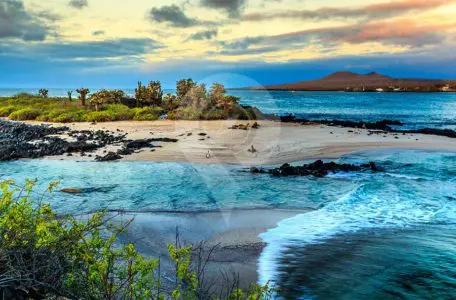 Galapagos-Trip-Costs---Galapagos-Islands-photo