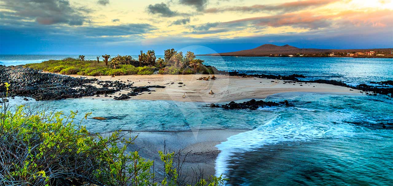Galapagos-Trip-Costs---Galapagos-Islands-photo