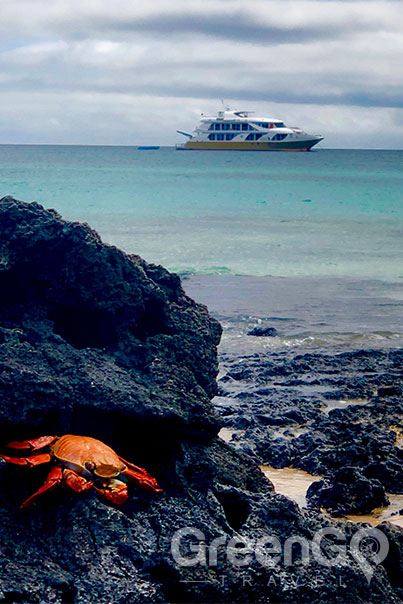 Elite Galapagos Catamaran-Galapagos Crab with Elite in the Background