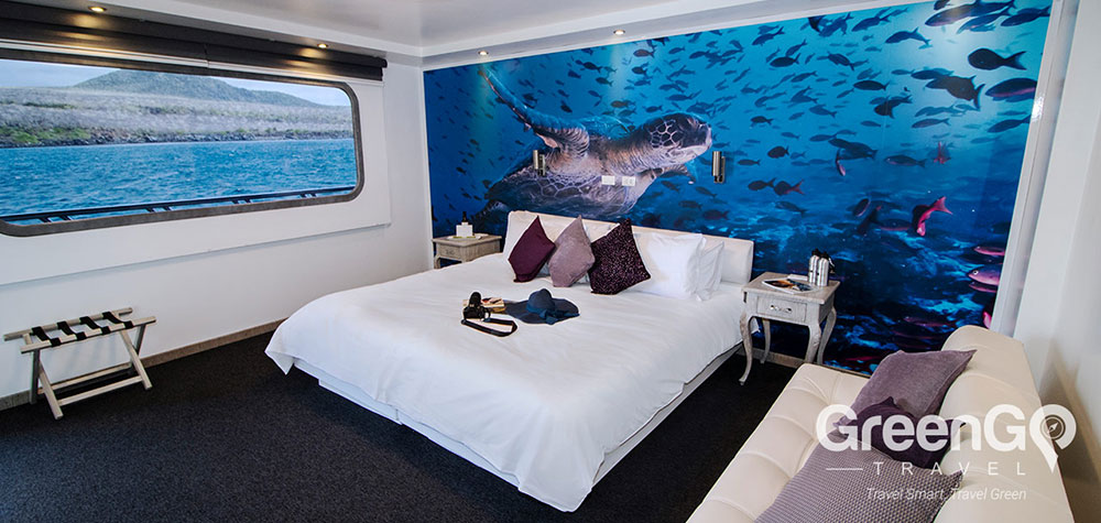 Highlights-of-the-Camila-Galapagos--Double-Cabin-2