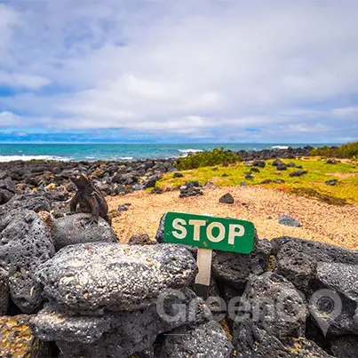 Sustainable-Travel-to-the-Galapagos-Islands-Galapagos-sign-saying-stop