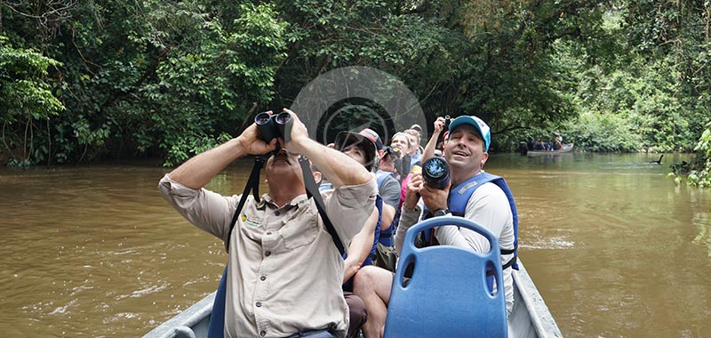 Piranha Amazon Lodge - Day 2
