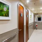 Tip Top 5 Galapagos Catamaran - Cabins