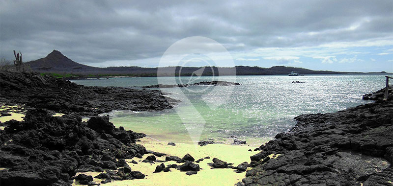 Whale Bay - Galapagos Islands