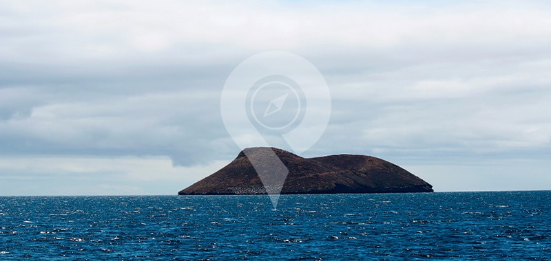 Daphne Island - Galapagos Islands