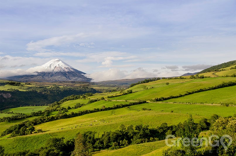 Cotopaxi mountain - Ecuador Nature