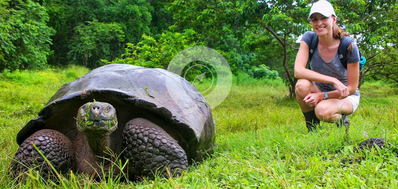 Galapagos tortoise -Best trips to south America