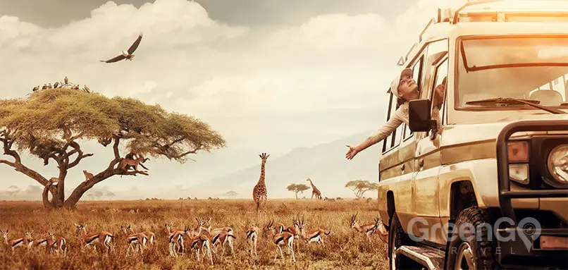 African Safari vs Galapagos Islands 4X4 Vehicle