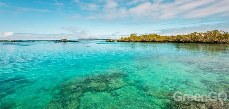 DIY-Galapagos-Travel-Guide-Concha-de-Perla