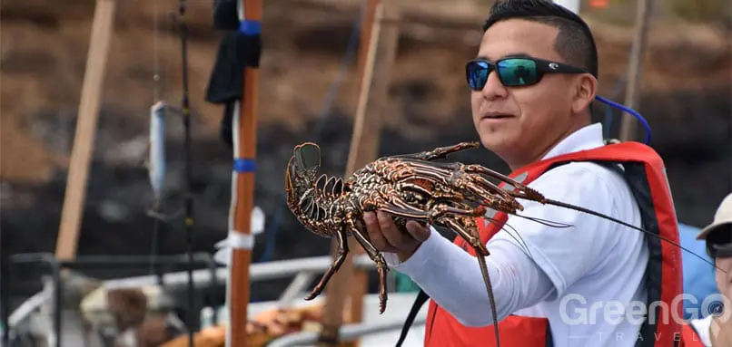 /do-people-live-on-the-galapagos-islands-fisherman-catch-of-the-day