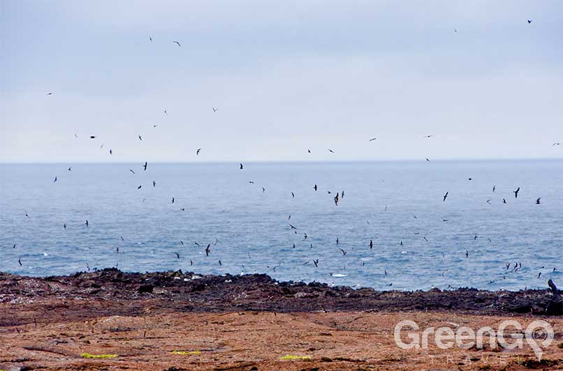 Galapagos-Islands-by-Region-Genovesa