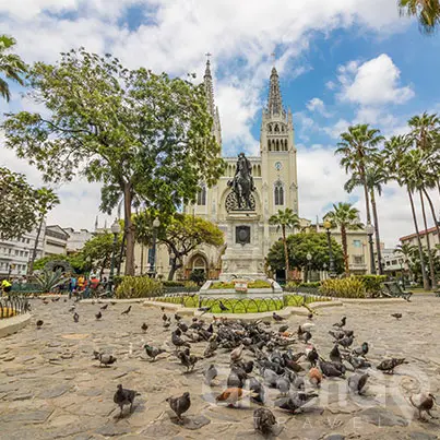 How to get to Galapagos Islands - Guayaquil