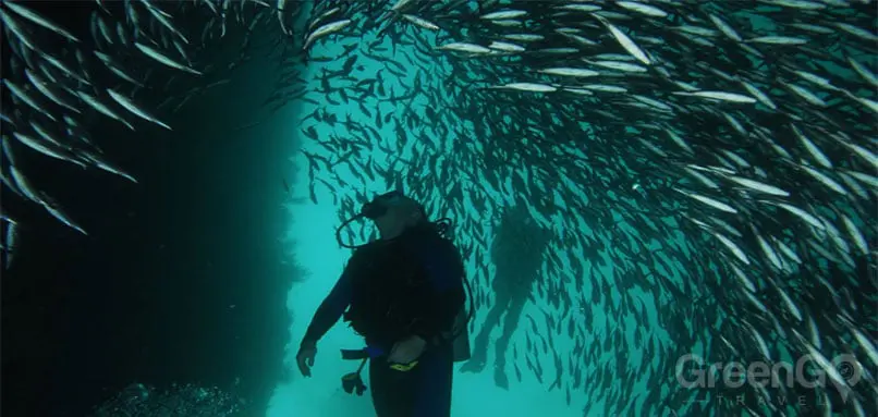 kicker rock tour