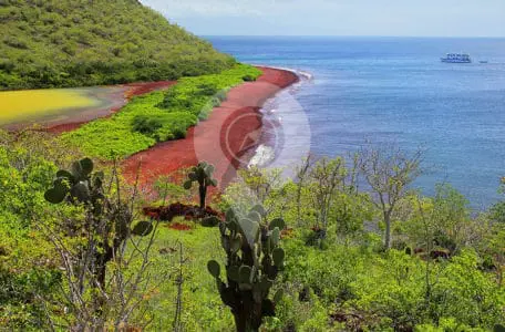 Why-Go-to-the-Galapagos-Islands-Web-Ready-Rabida-Beach-
