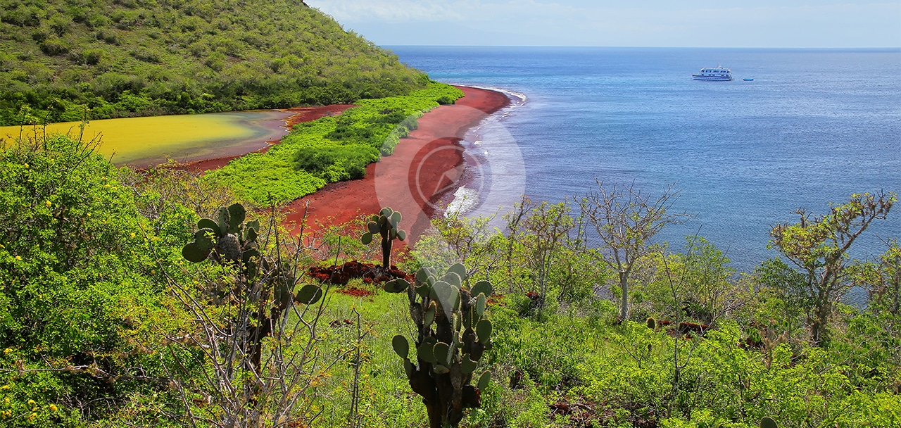 Why-Go-to-the-Galapagos-Islands-Web-Ready-Rabida-Beach-