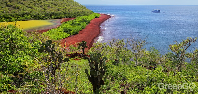 Why-Go-to-the-Galapagos-Islands-Rabida-Island
